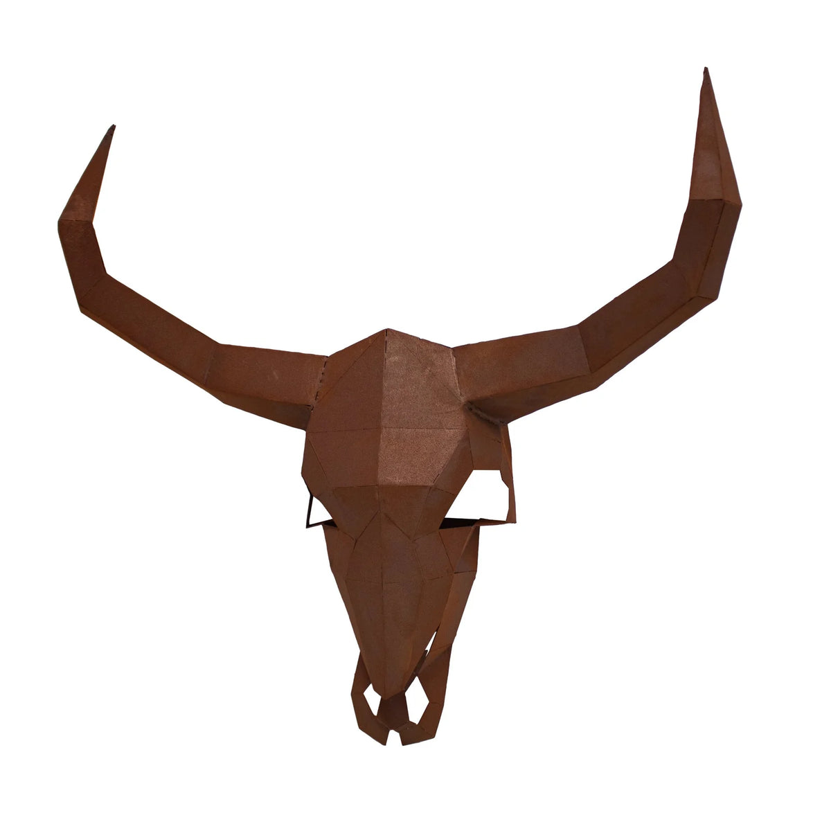 Schädel „Texas“ – Ansicht 2