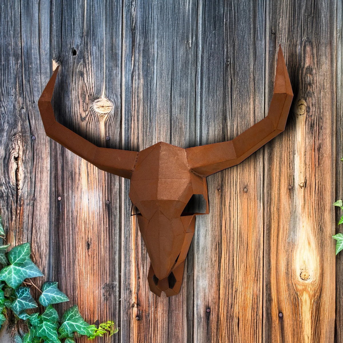 Schädel „Texas“ – Ansicht 4
