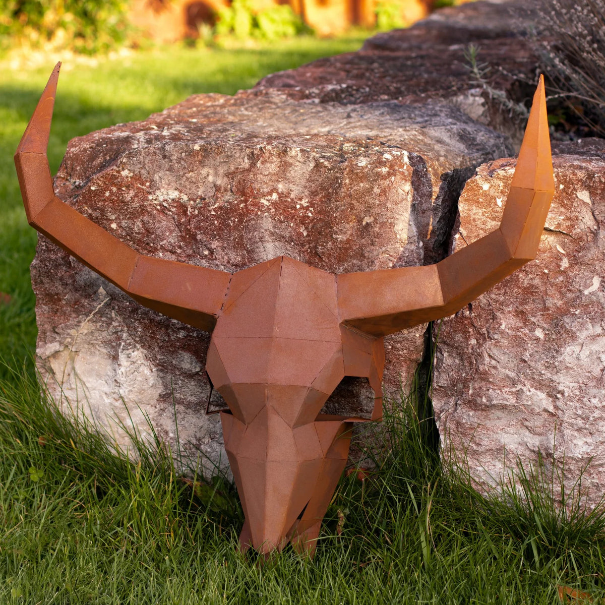 Schädel „Texas“ – Ansicht 5