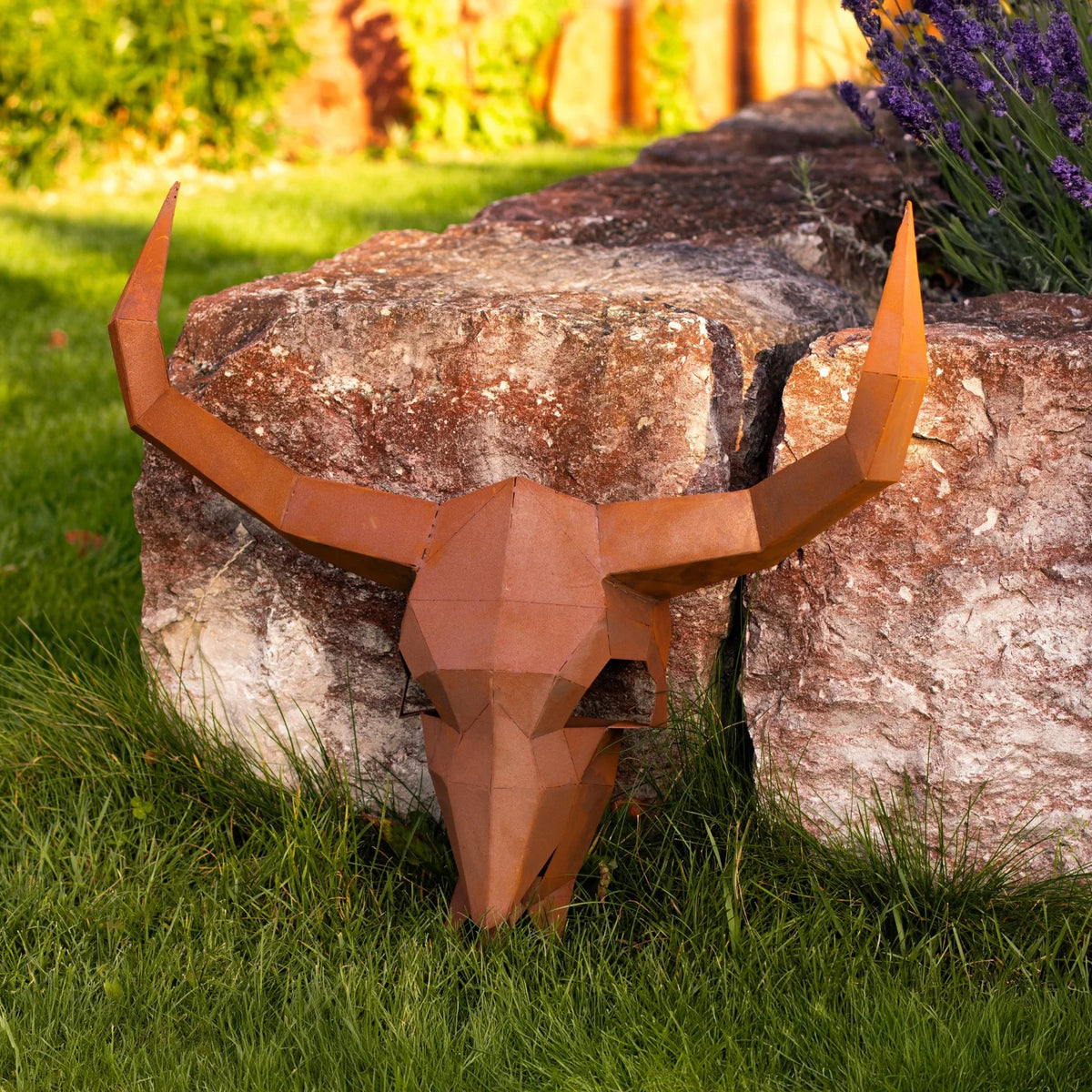 Schädel „Texas“ – Ansicht 6